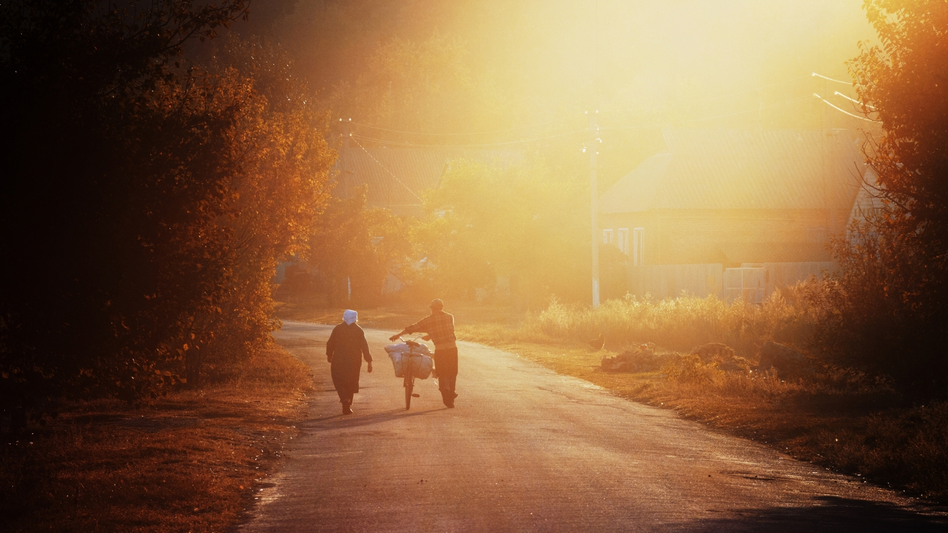 evening walks and better sleep