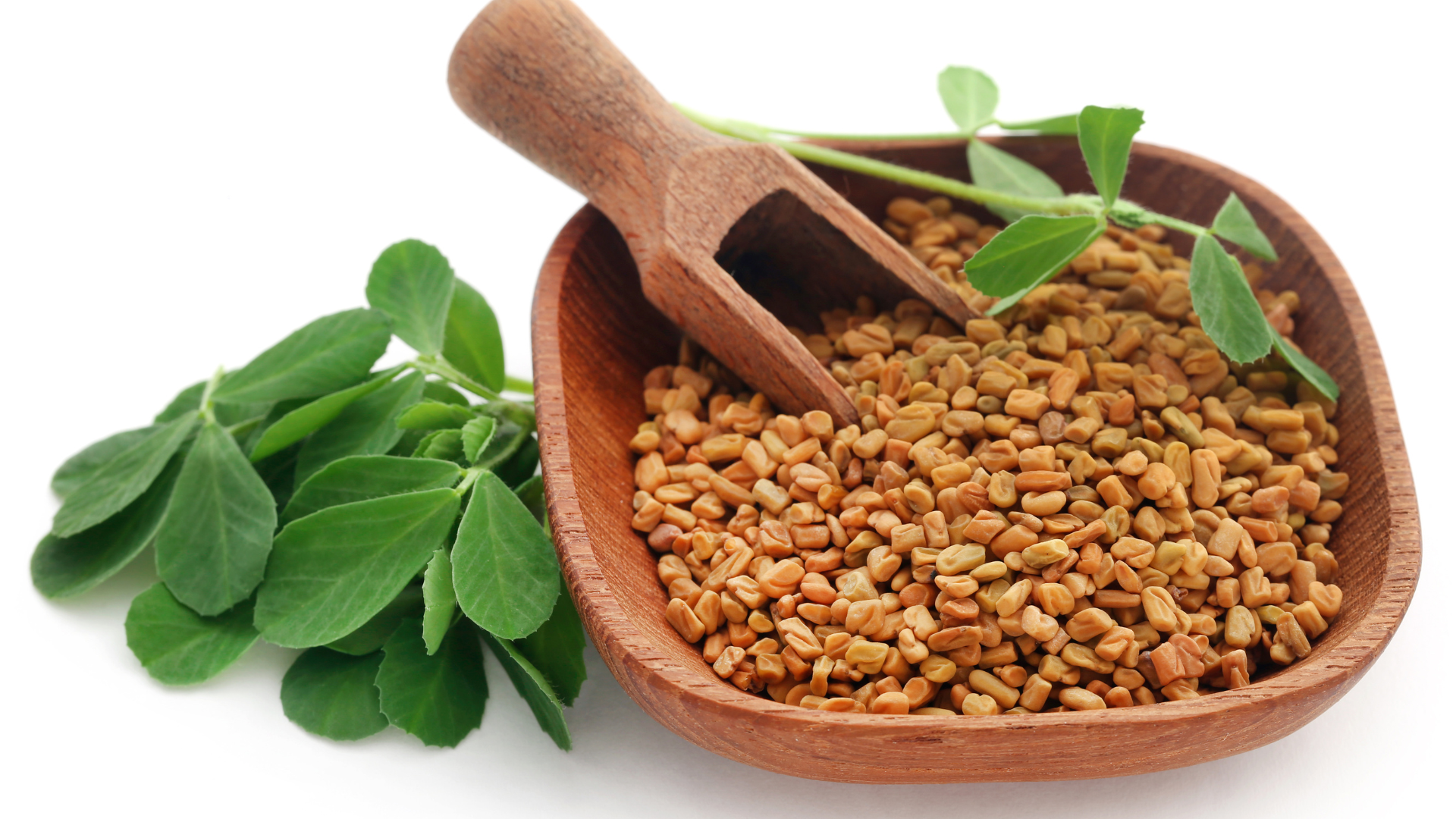 fenugreek seed water