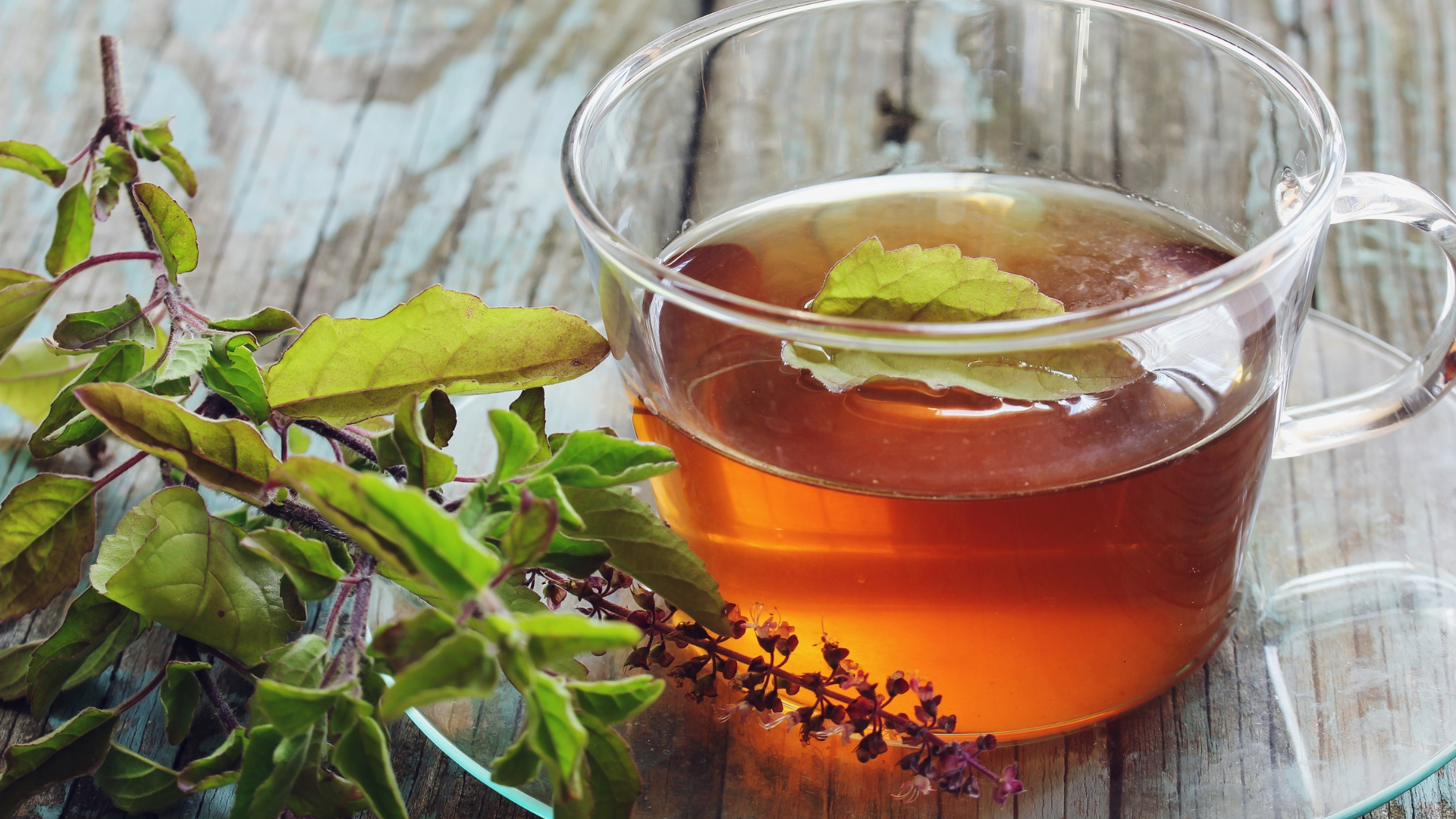 Organic Tulsi Tea cup