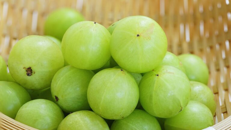 health benefits of amla fruit
