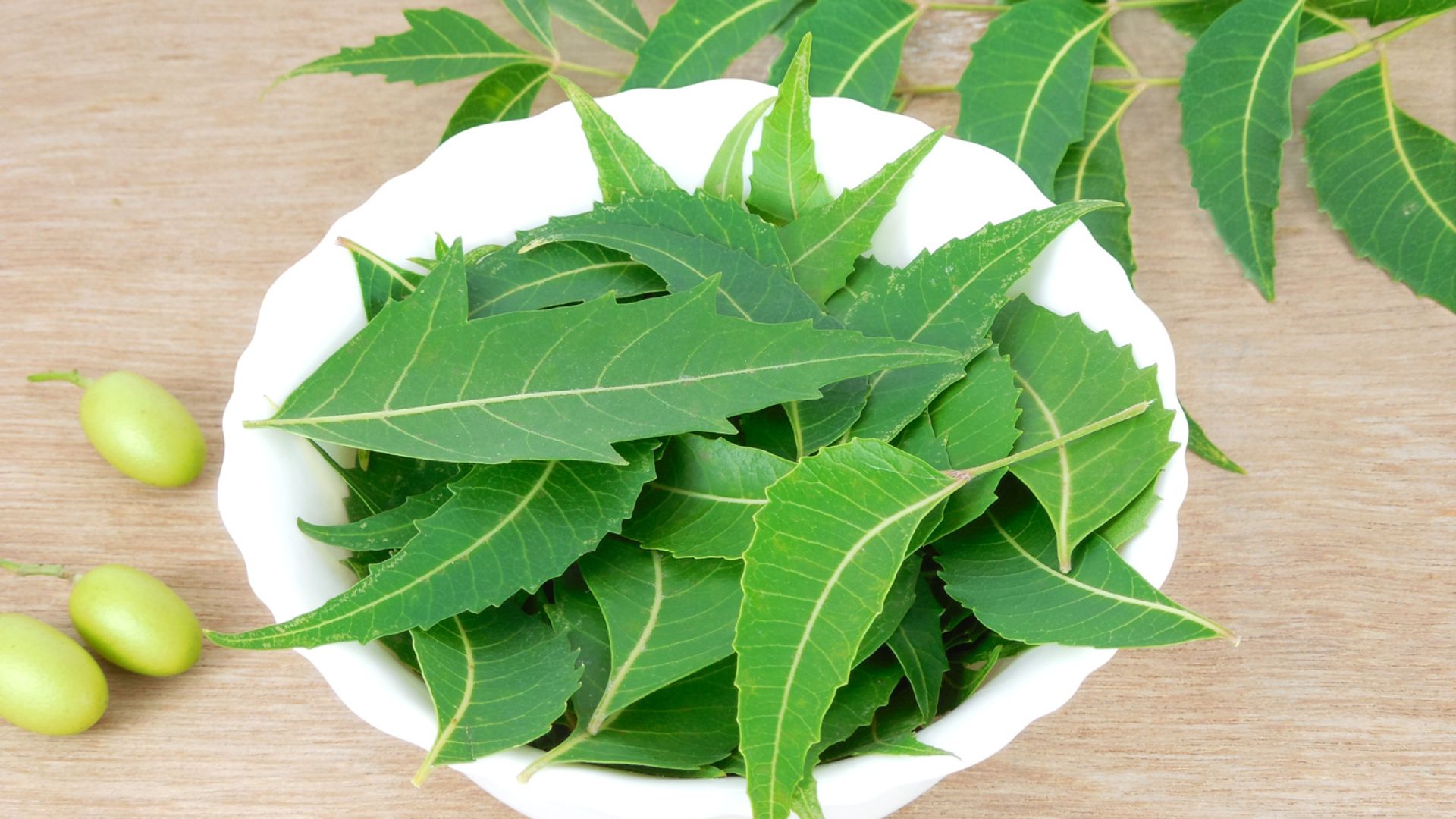 neem leaves