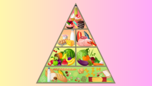 Food Pyramid