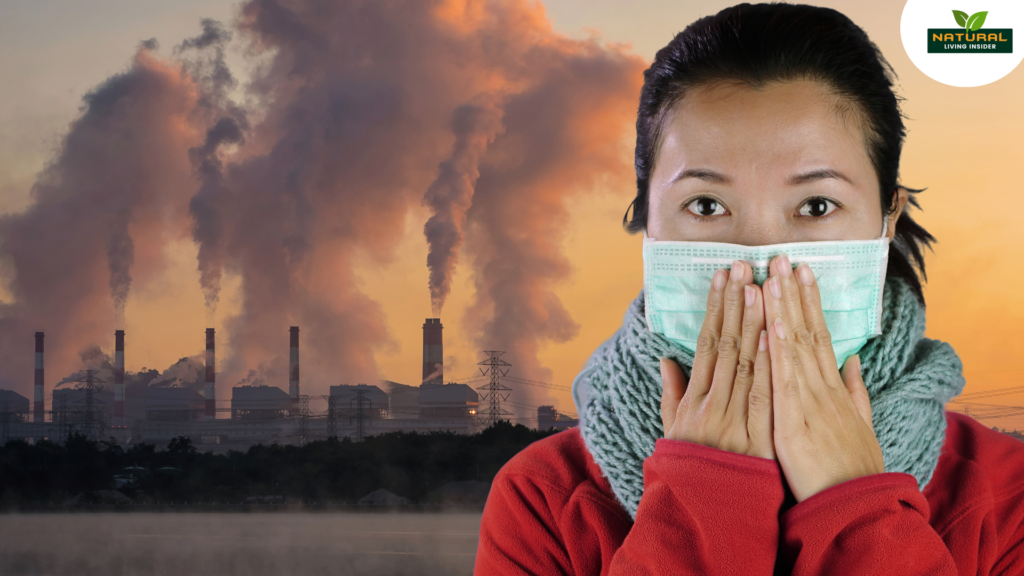 air-pollution-and-heart-risks-in-young-adults-what-you-need-to-know