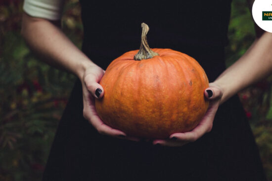 A person holds a vibrant pumpkin, symbolizing its health benefits as an underrated superfood.