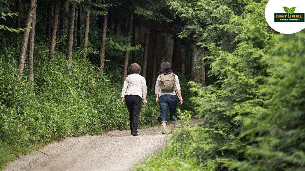 Two women stroll along a wooded path, embracing the tranquility and benefits of forest bathing in nature.