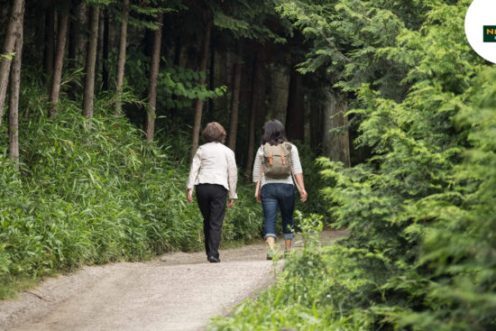 Two women stroll along a wooded path, embracing the tranquility and benefits of forest bathing in nature.