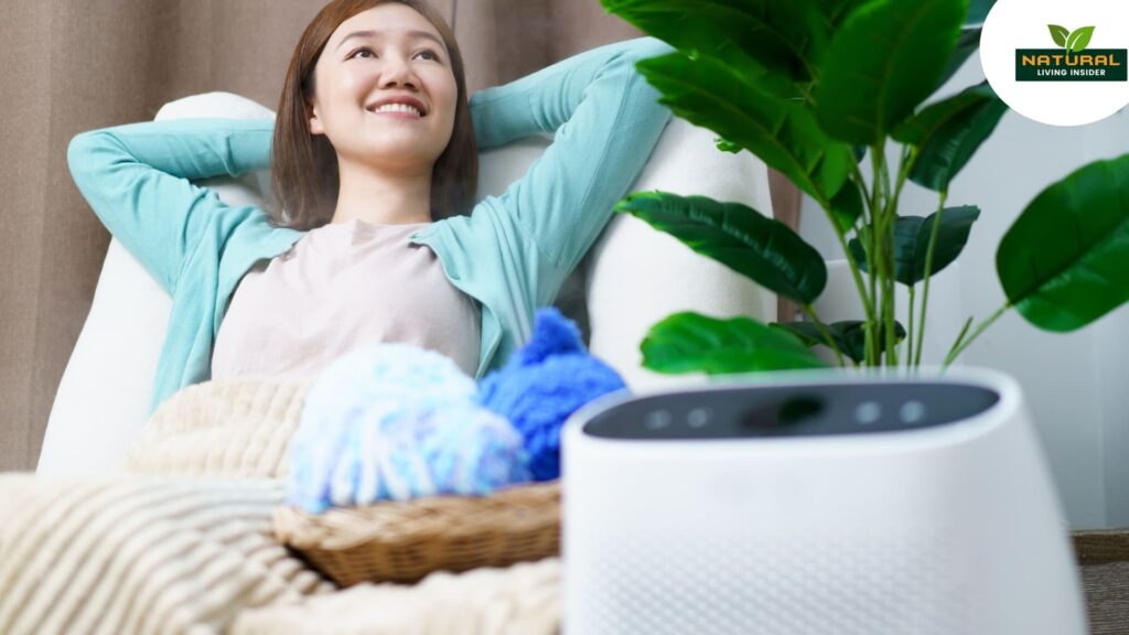 A woman enjoys relaxation in a chair, surrounded by a fan and air purifying, promoting a serene and clean air.