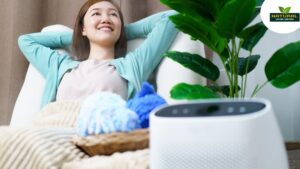 A woman enjoys relaxation in a chair, surrounded by a fan and air purifying, promoting a serene and clean air.