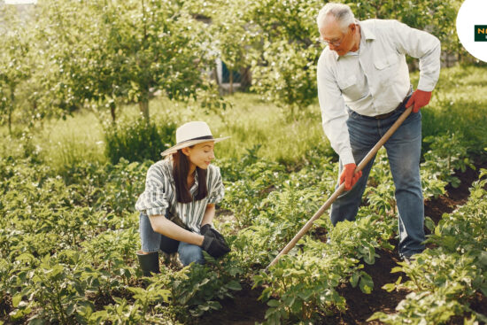 A man and woman work together in an urban garden, enjoying the gardening process.