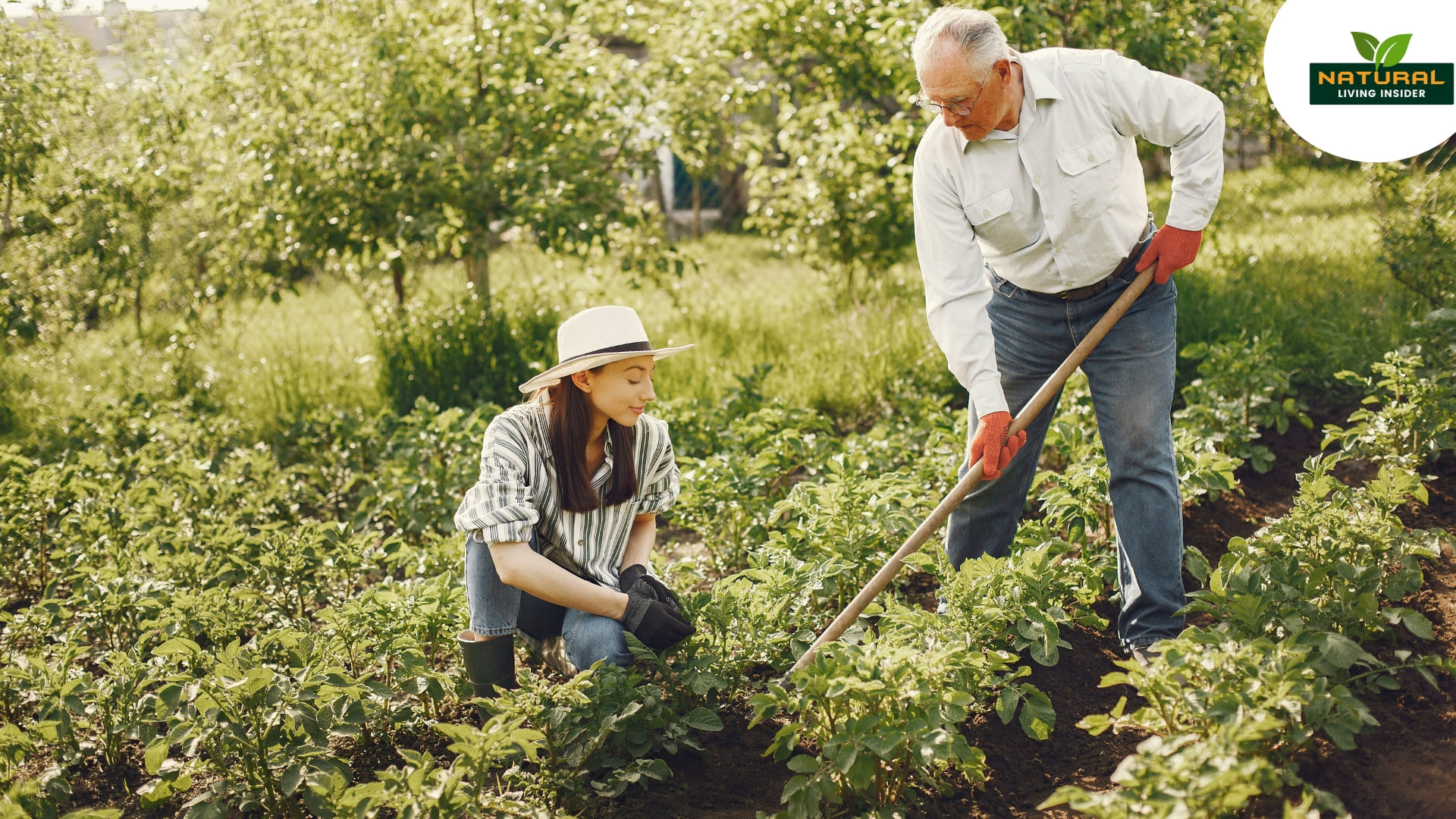 A man and woman work together in an urban garden, enjoying the gardening process.