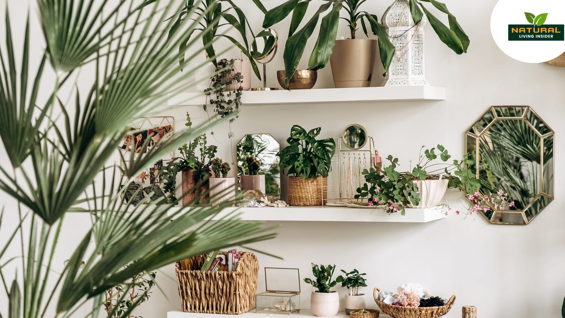 A serene room featuring lush plants and a large mirror, embodying the essence of an indoor jungle for wellness.