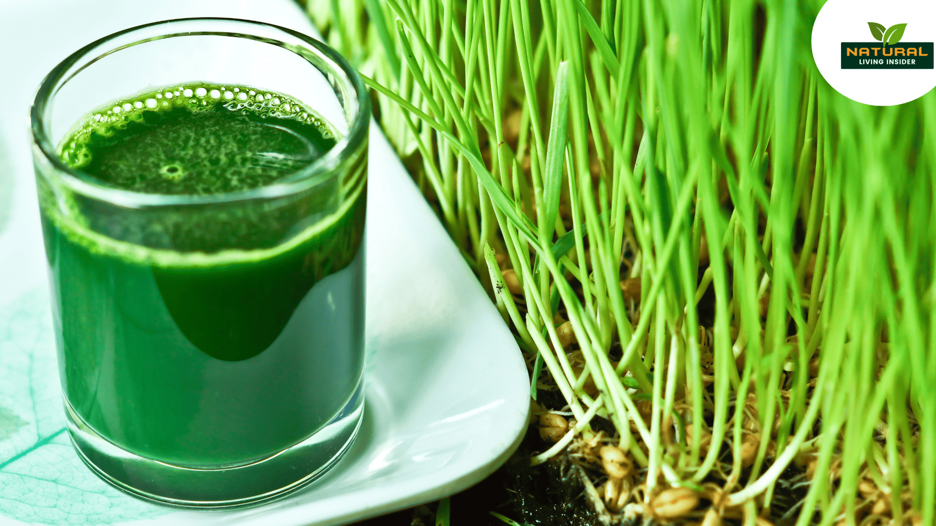 Benefits of a Wheatgrass Colonic