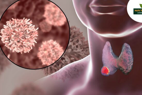 10 Superfoods That Promote Thyroid Health the Natural Way