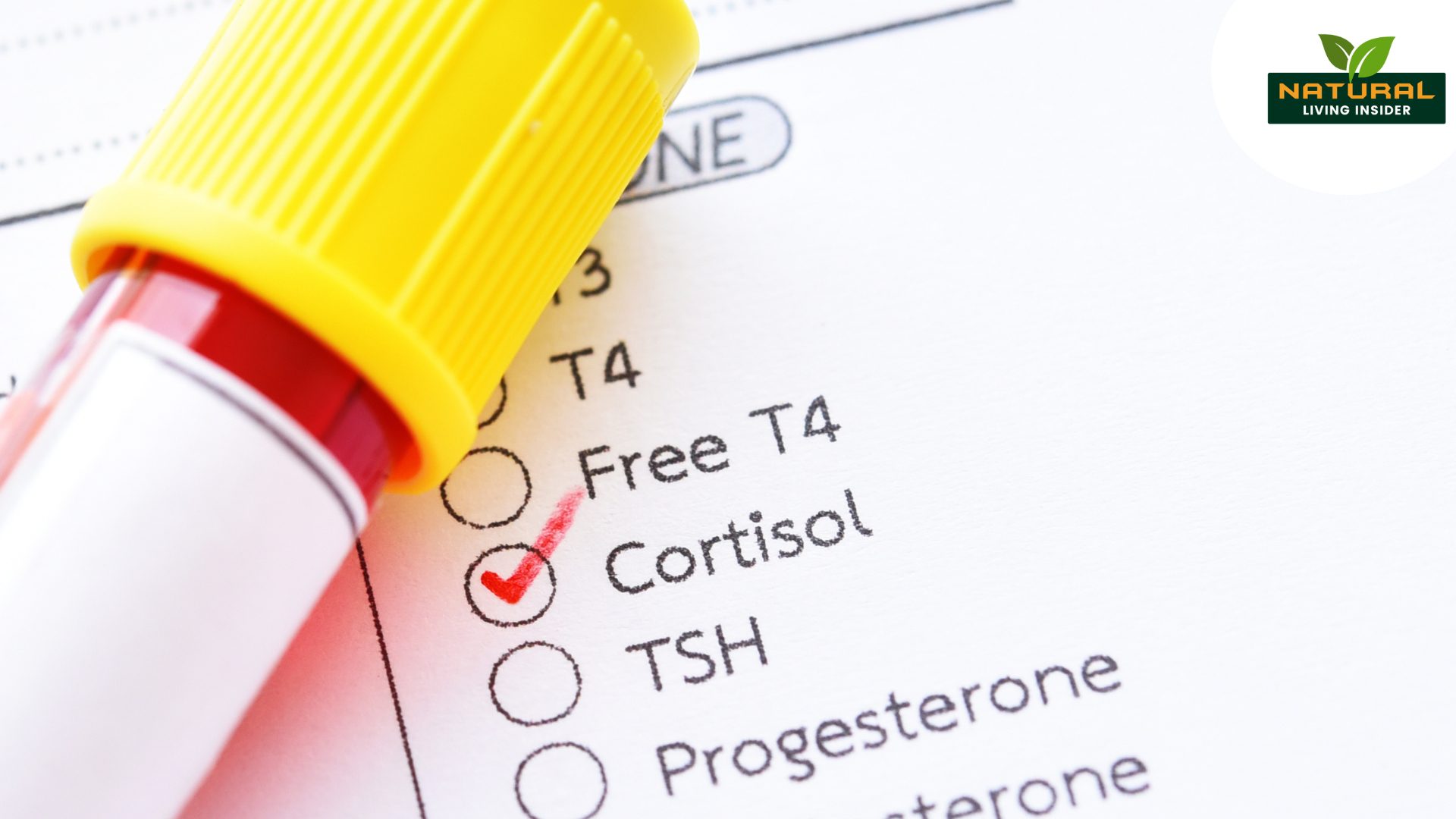 How to Lower Cortisol: 7 Things You Can Do Right Now