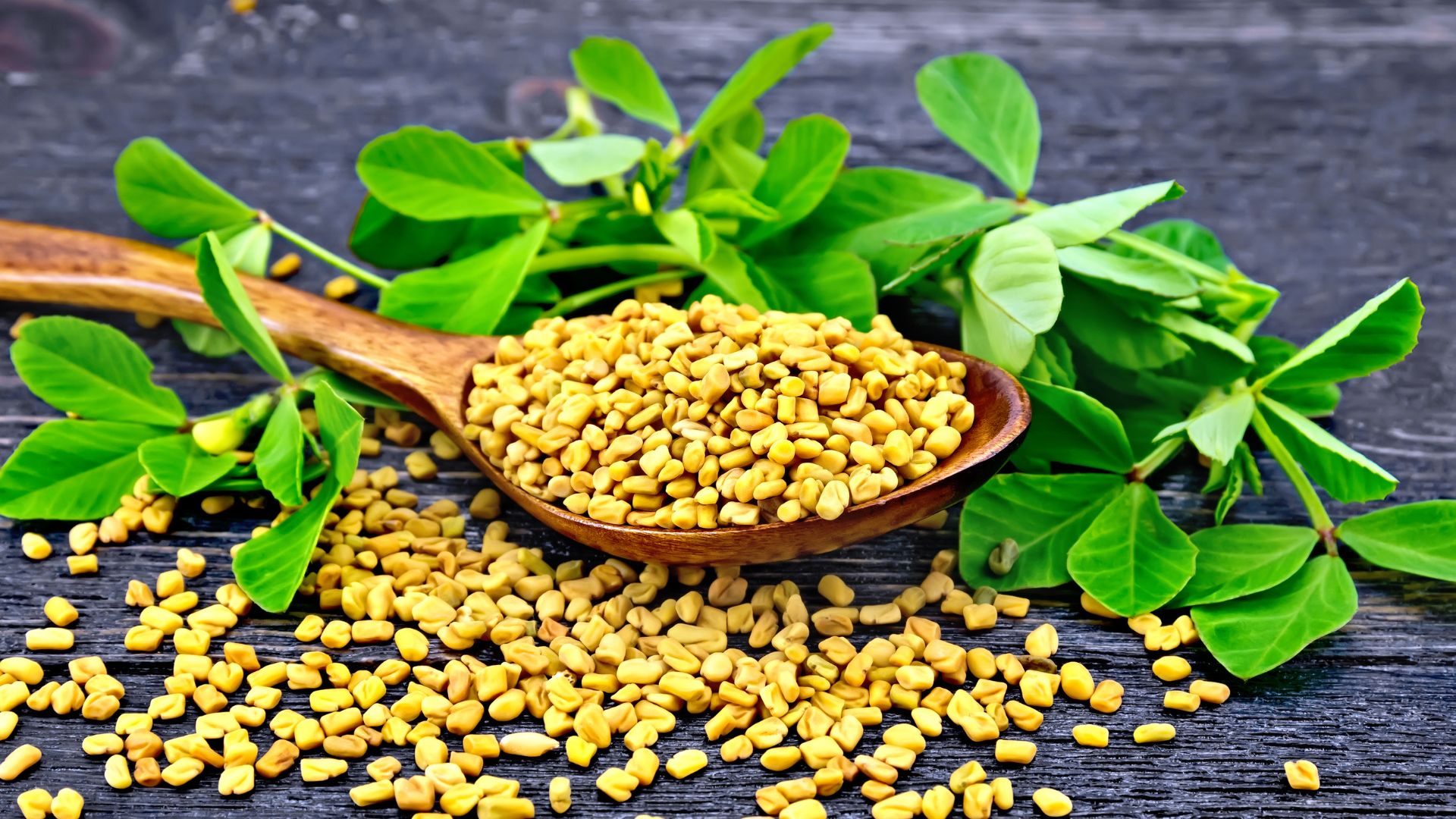 Fenugreek Uses, Benefits, Side Effects, and More