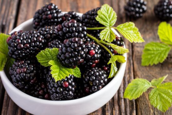 What are the benefits of blackberries