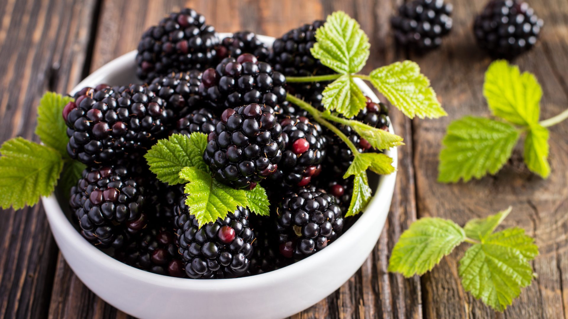 What are the benefits of blackberries