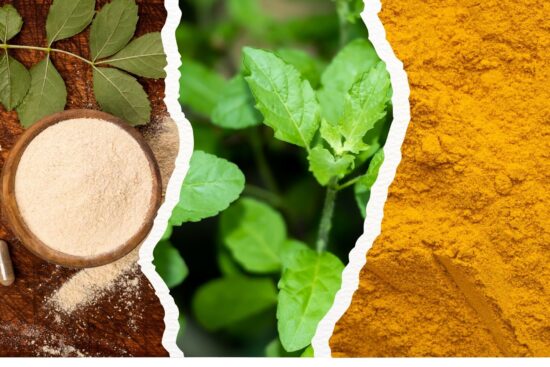 3 Indian Herbs That Can Replace Your Medicines