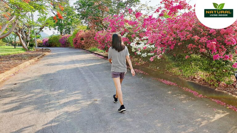 How a Daily Long Walk Can Transform Your Mind and Body