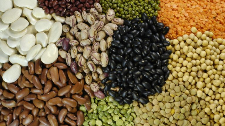Which pulses are high in protein