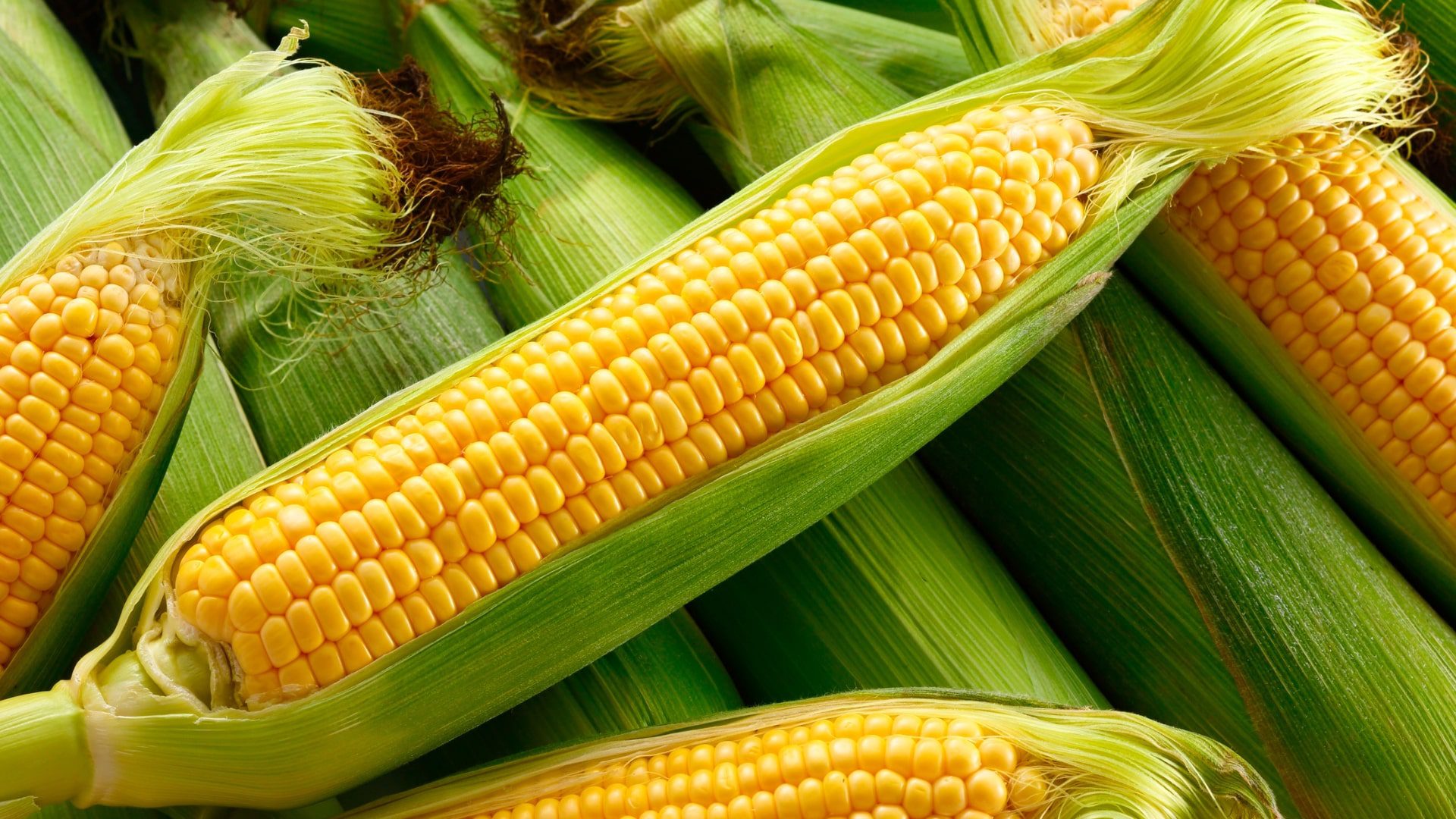 How Healthy is Sweet Corn Benefits, Nutrition, and Tips-min