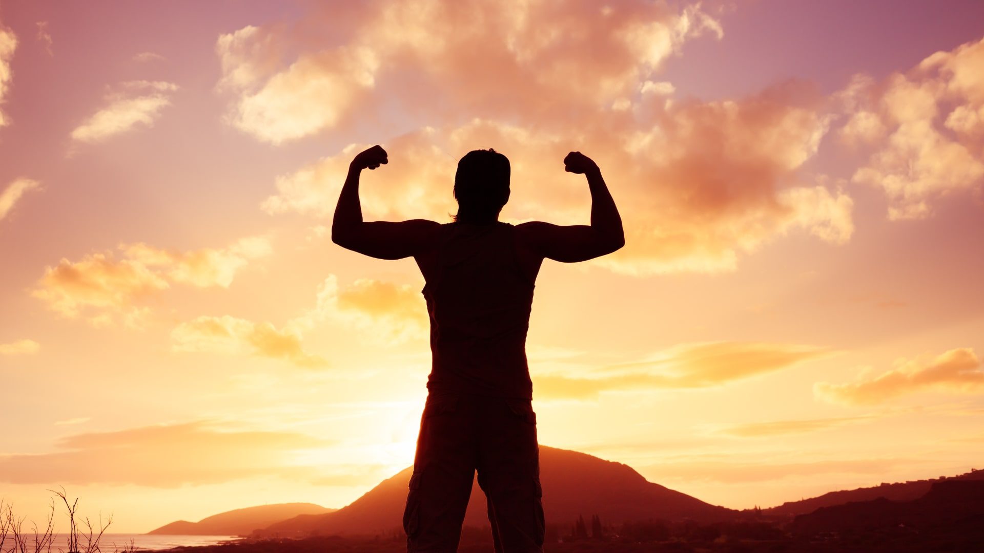 The Power of Wellness Transform Your Health Naturally-min (1)