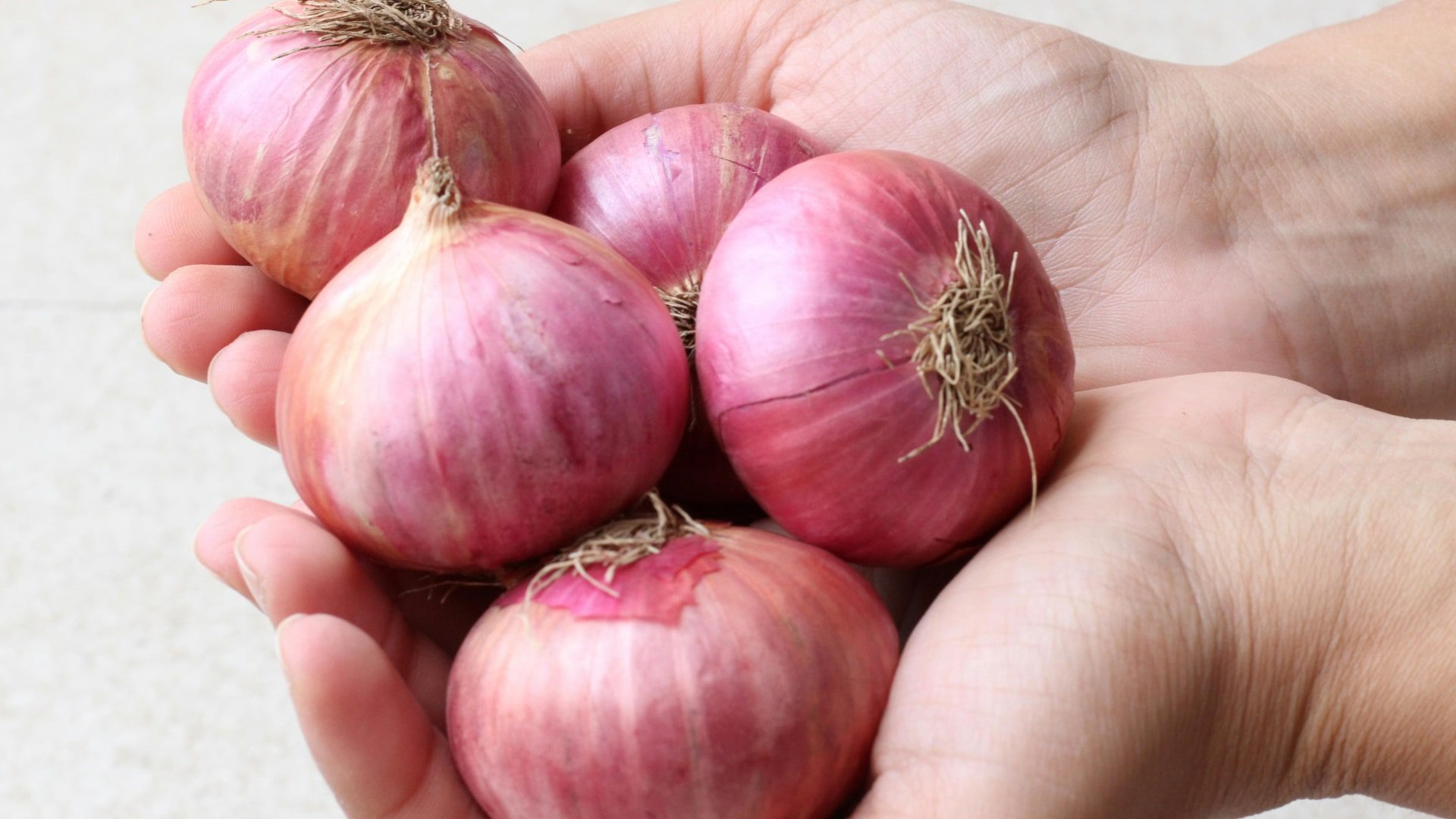 What Happens to Your Body When You Eat Onions Regularly-min