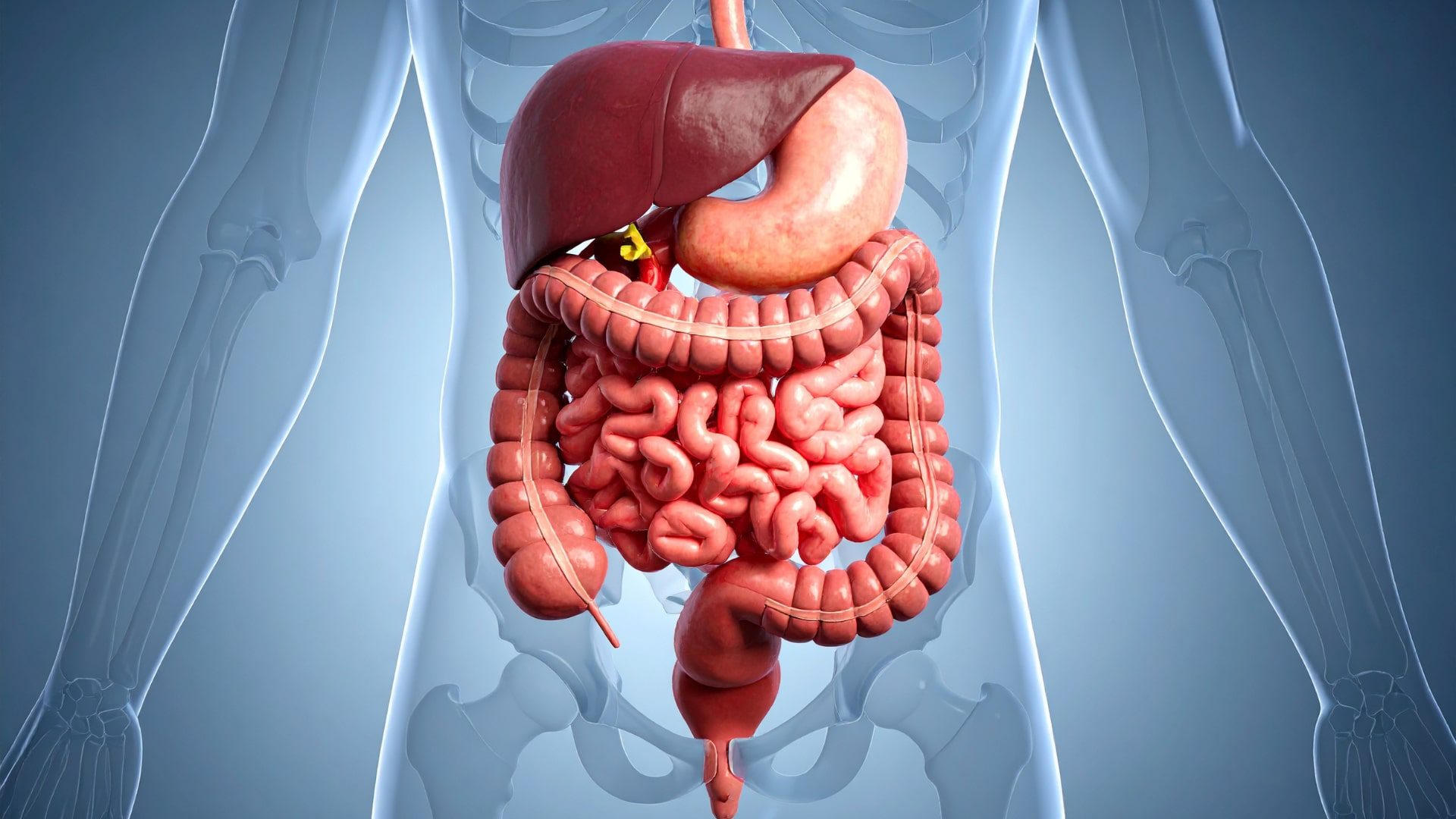 Superfoods for Immunity, Energy, Skin, and Digestion